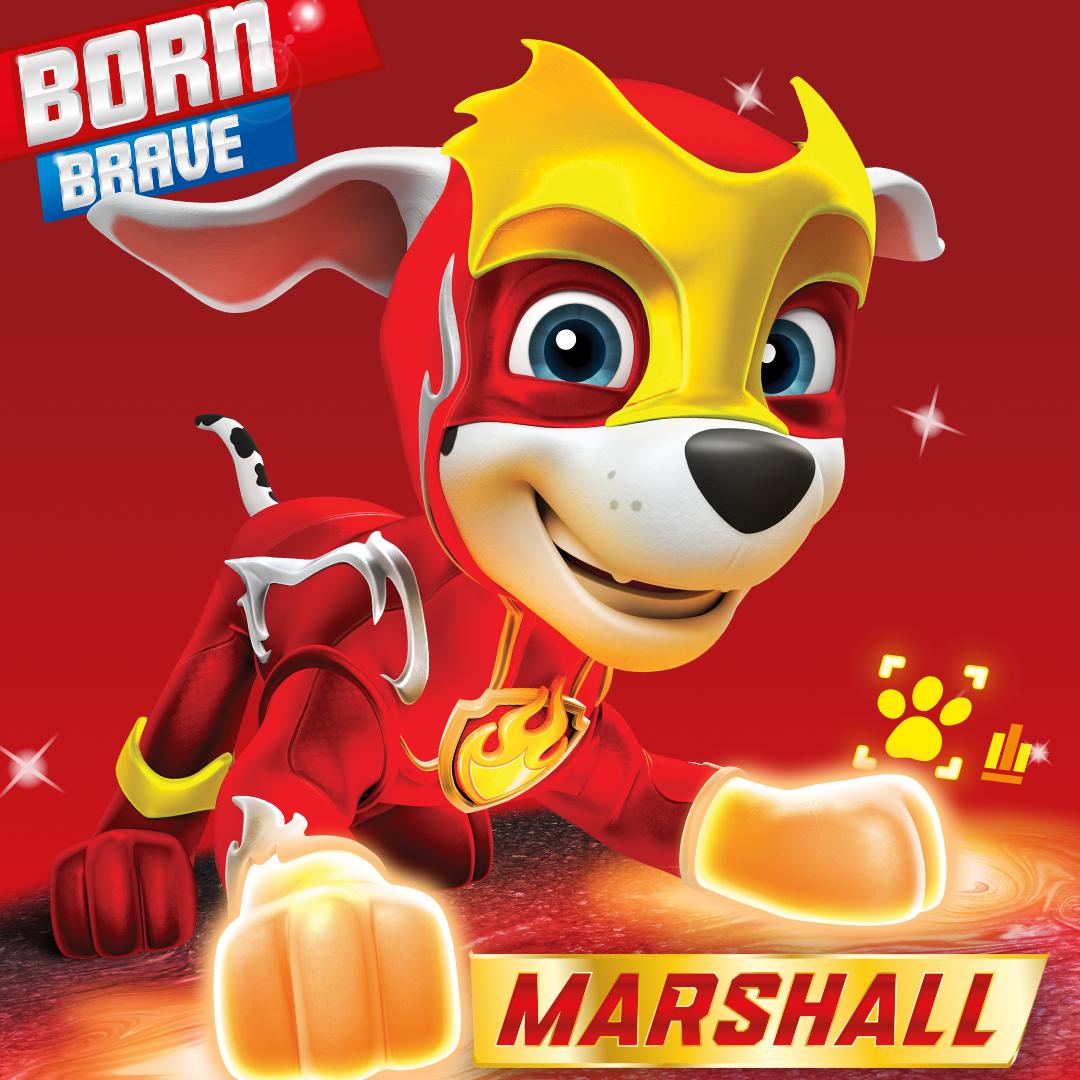 Marshall Paw Patrol Pups | atelier-yuwa.ciao.jp
