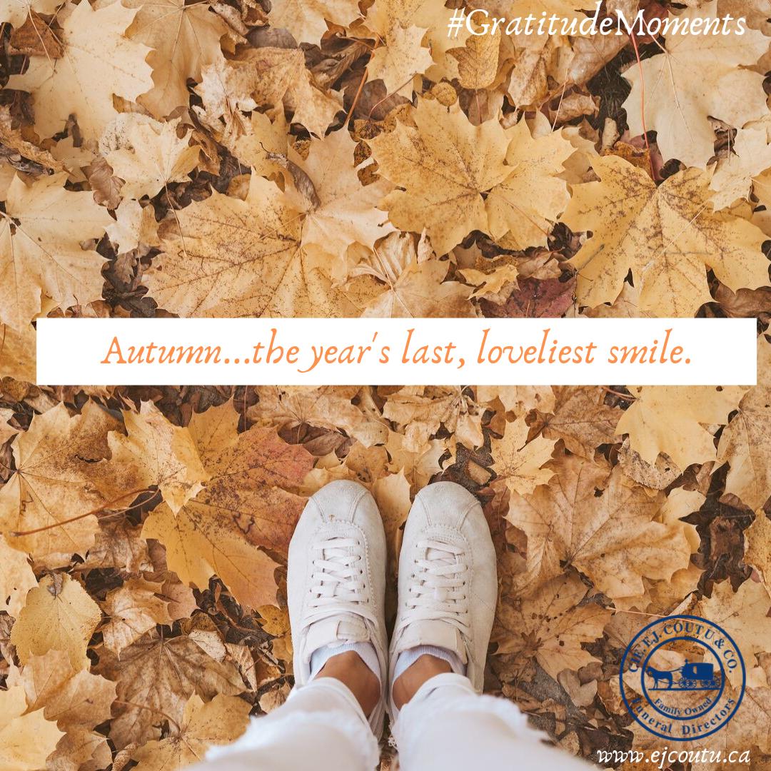 coutu1895's tweet photo. Autumn in #Winnipeg.   Thank you, Winnipeg, for making us part of you, year after year.  Our family owned business has been part of #Winnipeg's story for over 100 years!  https://t.co/3fthKbewaj  #funeraldirectors #ywgbusiness #ywg https://t.co/RObe4QqDuQ