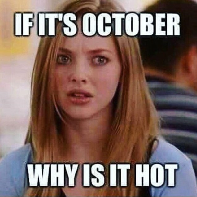 EliteFlowContrl's tweet image. Happy October in Texas #eliteflowcontrolservices  #flowback  #oilfield
