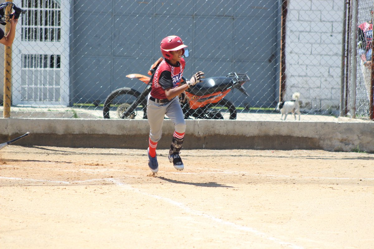 AraguaPL's tweet photo. Apl Kids: Gold Prospect 9 x 0 JVR Aca.
Jornada: 01/10/2019. 
PG: Luis Aristigueta PP: Freddy Hernandez 
JMV: Jesús Alvarado 4-3 1CI. 
📷: Hely Daniel Rodriguez. 
https://t.co/tx1yMc4Kuj
#Baseball
#Aragua 
#SomosAPL https://t.co/HVm7Lhi85o