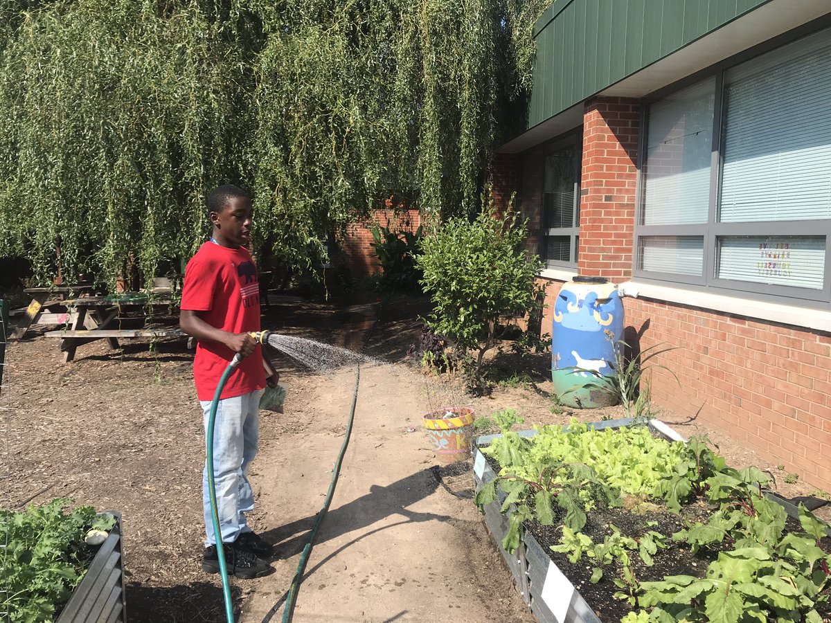 Marycharlton8's tweet photo. This student asked if he could have some produce from the garden and happily watered our garden and then picked some fresh kale to bring home. #thesemomentsmatter #mywhy #kale #gardenerintraining @MrHessSLES https://t.co/EugcaFEXkJ