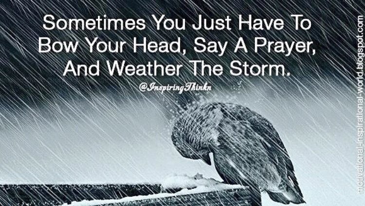 SONFAIDE's tweet image. #repost from @govsd ...🗣On God #currentmood 🏁