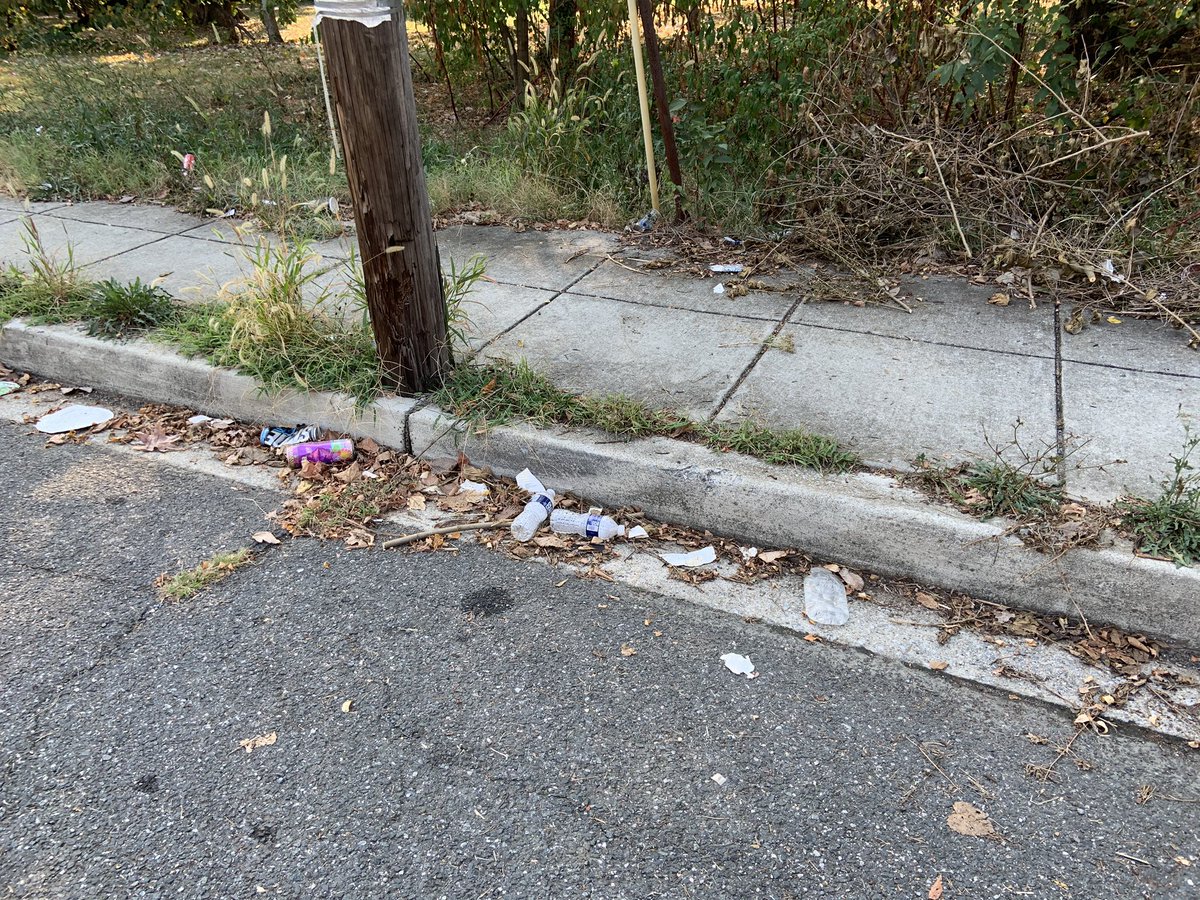 pickelodeon's tweet photo. Hello @311DCgov @DCDGS please remove the rotting garbage at 57th &amp; Dix on Marvin Gaye Trail. @WashingtonParks https://t.co/5mOUtin4Ep