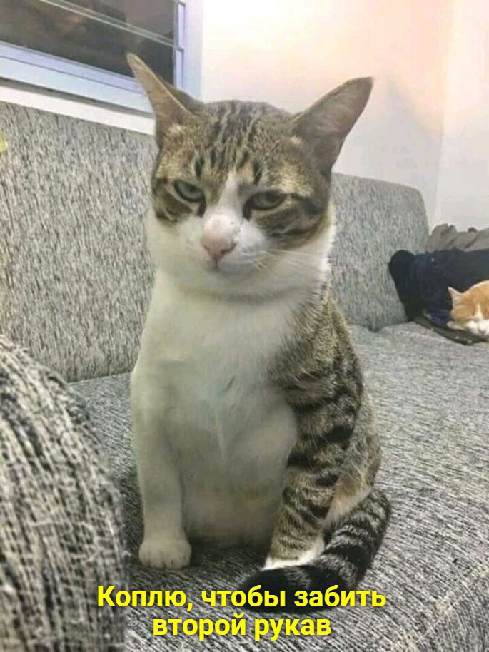EF0ni2uWsAInZJK?format=jpg&name=medium
