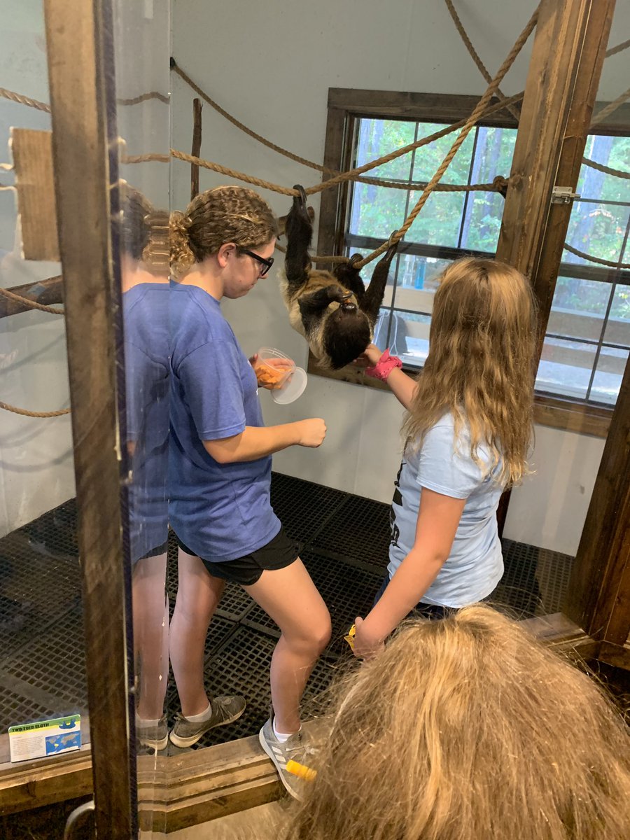 Petting Chewy the sloth!