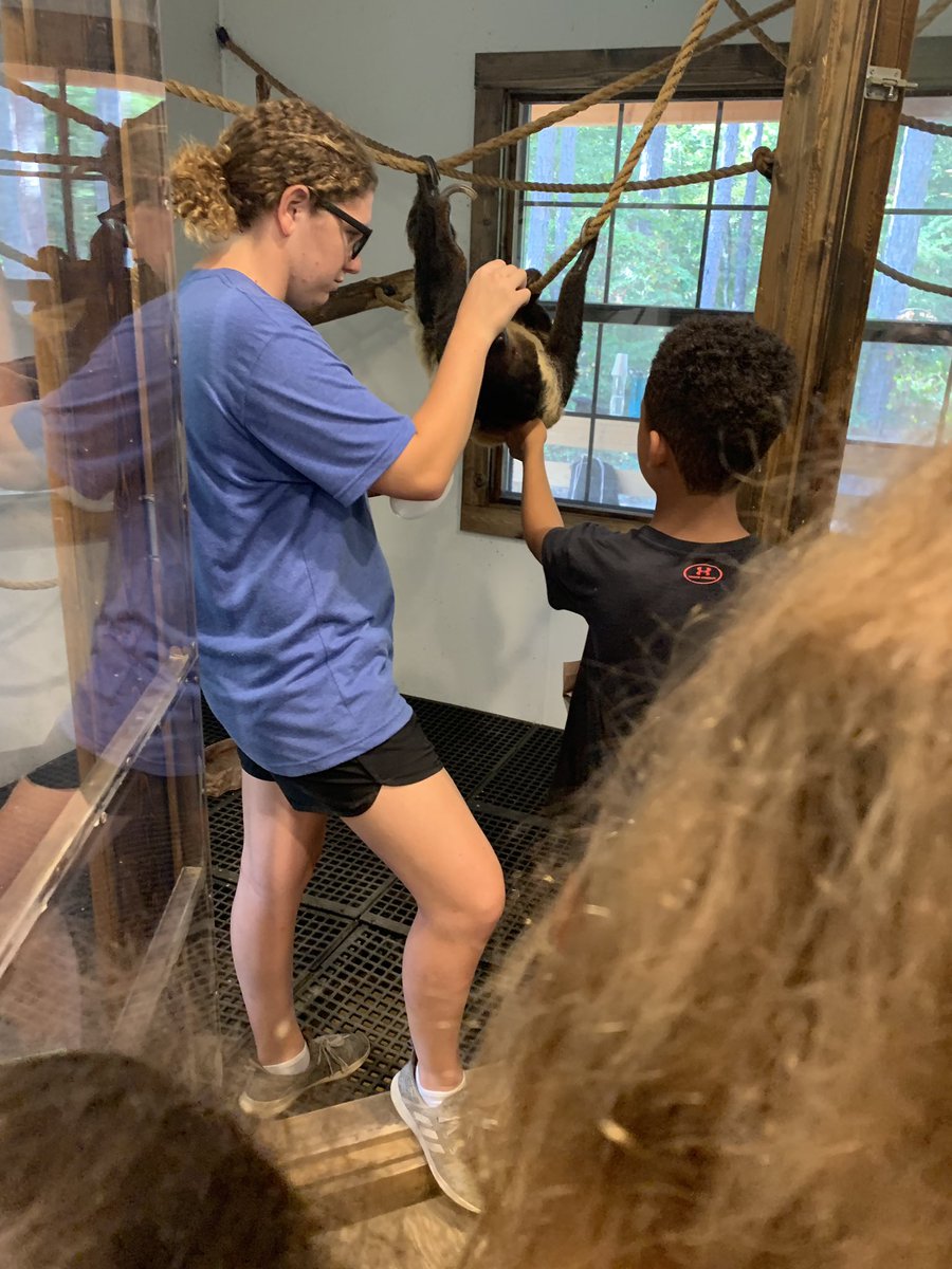 Curtsinger 5th grade tweet media