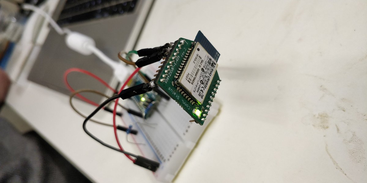 Can you tell what this is?