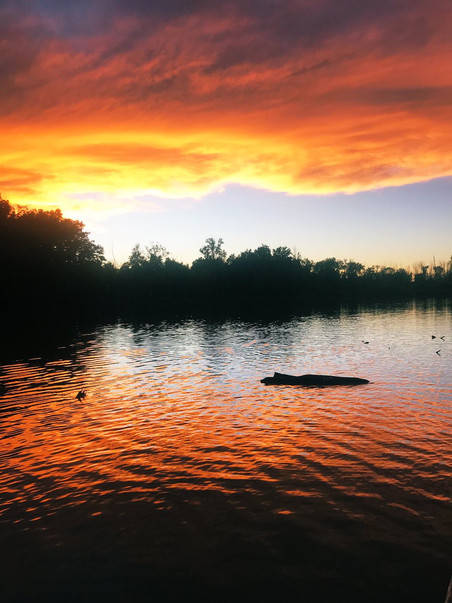 Addisonsmith32's tweet image. Best time of the year is on its way! 🦆🍁