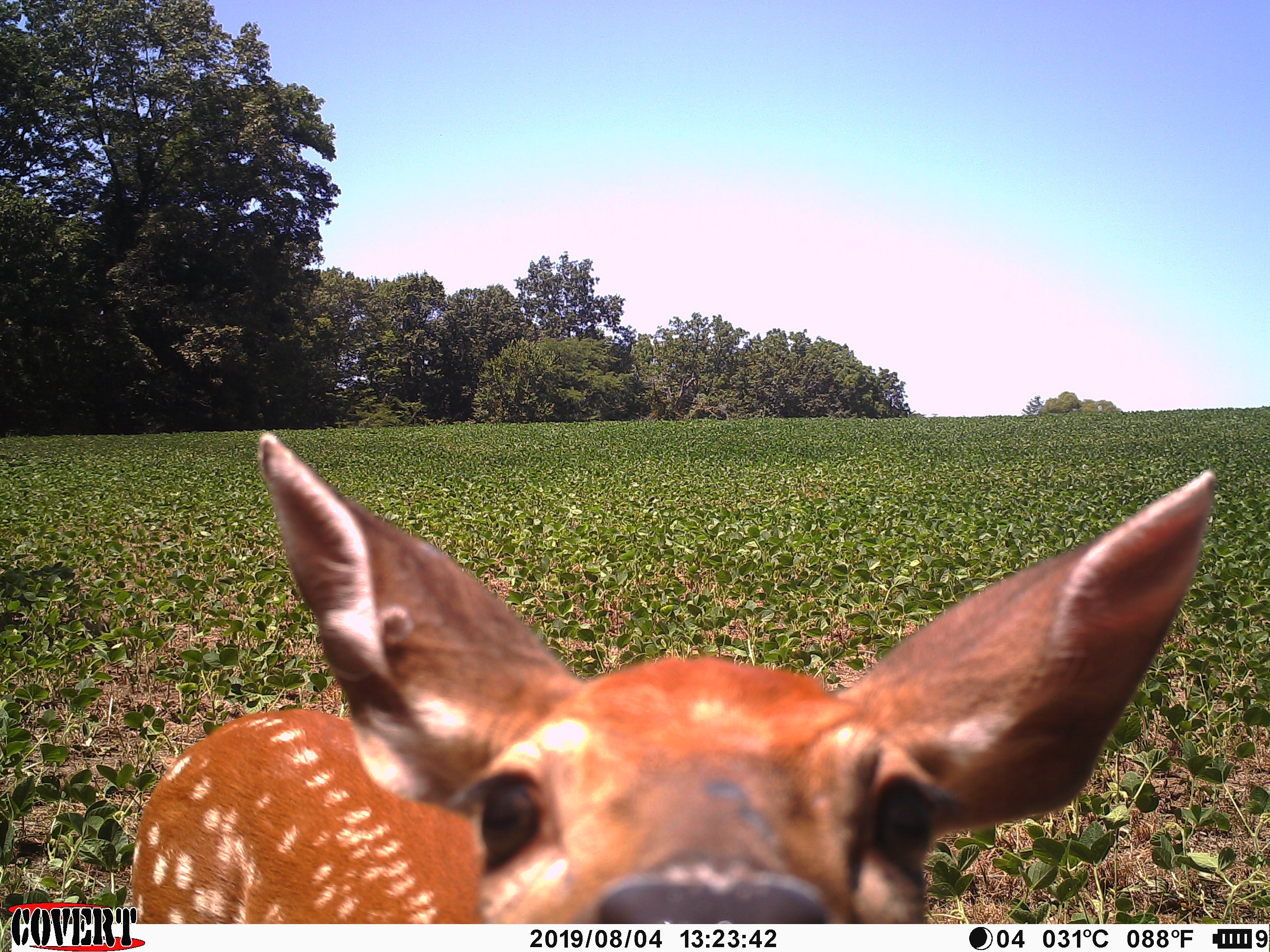 John K. Brooks (JohnkbrooksK) / Twitter