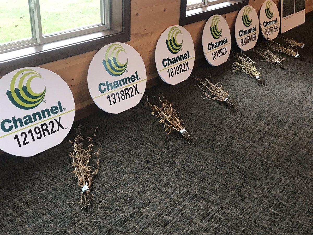 smidtag's tweet photo. Nice turnout for channel plot/expo day!@BrianFruechte @ChannelMinn @ChannelSeed @FieldView https://t.co/K14j9PKkdt
