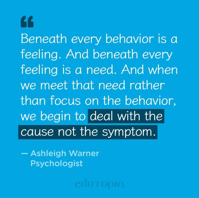 Krista Perry tweet media