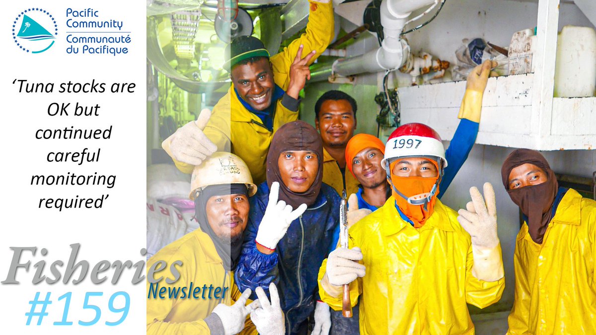 spc_cps's tweet photo. Stocks of the 4 main tuna species fished in Oceania are in relatively good health. This is 1of the conclusions of the studies conducted by @spc_cps's Ocean Fisheries Programme
#TunaStock #Pacific #Fisheries
Learn more with the Fisheries Newsletter #159
https://t.co/OJbJIU9vRP https://t.co/e33mtJttkw