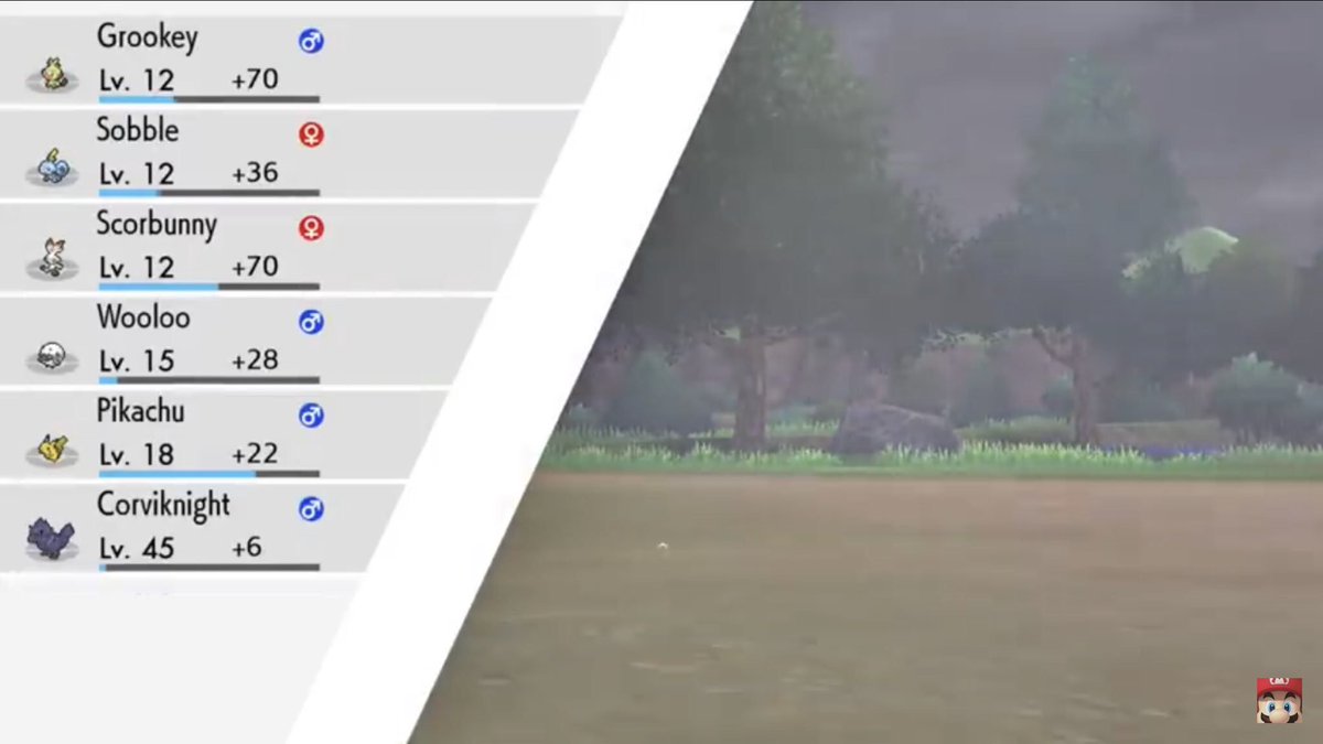 Pokémon Spada e Scudo Il Condividi Esperienza in azione