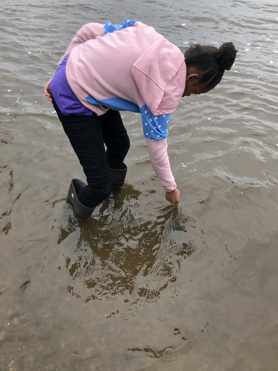SLBogdanovich's tweet photo. Fishing for minnows 🎣 🐟 #pltweets https://t.co/4tVYWz1YTK