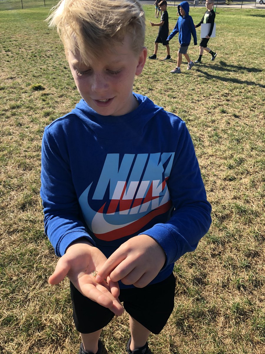 Caroline Swanson tweet media