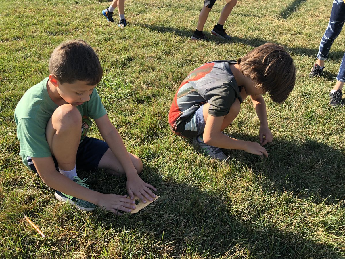 Caroline Swanson tweet media