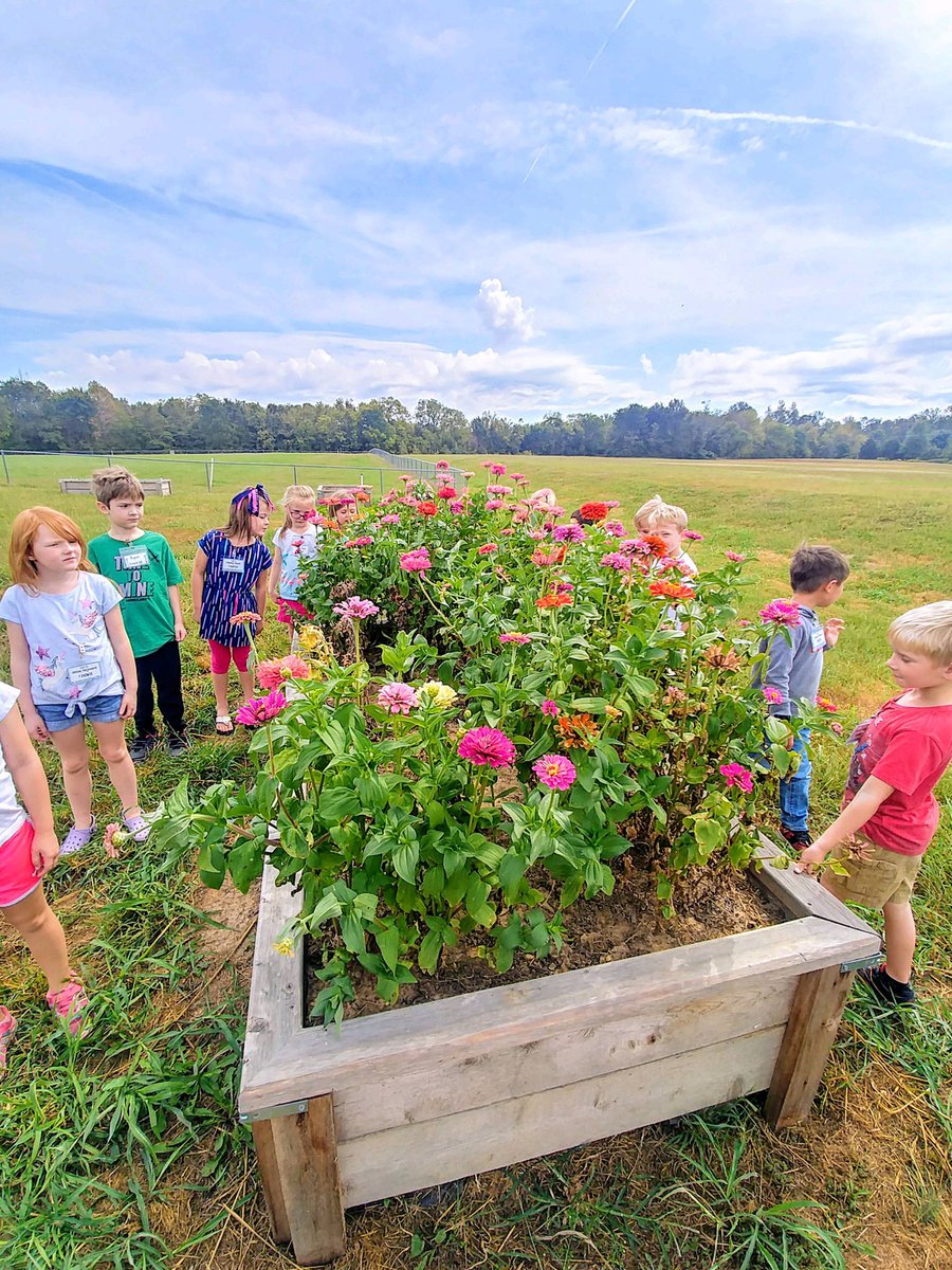 CarmelElem's tweet photo. ✨Spotlight on Special Areas✨
Kindergarten and 1st grade classes observed the zinnias, butterflies, bees,  and clouds, for a future Claude Monet inspired poppy field painting! 
1st graders have been working on their throwing and catching progression. #coltsinaction https://t.co/qrfAdfnlC4