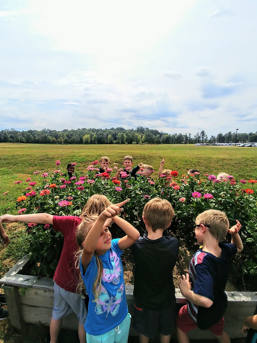 CarmelElem's tweet photo. ✨Spotlight on Special Areas✨
Kindergarten and 1st grade classes observed the zinnias, butterflies, bees,  and clouds, for a future Claude Monet inspired poppy field painting! 
1st graders have been working on their throwing and catching progression. #coltsinaction https://t.co/qrfAdfnlC4