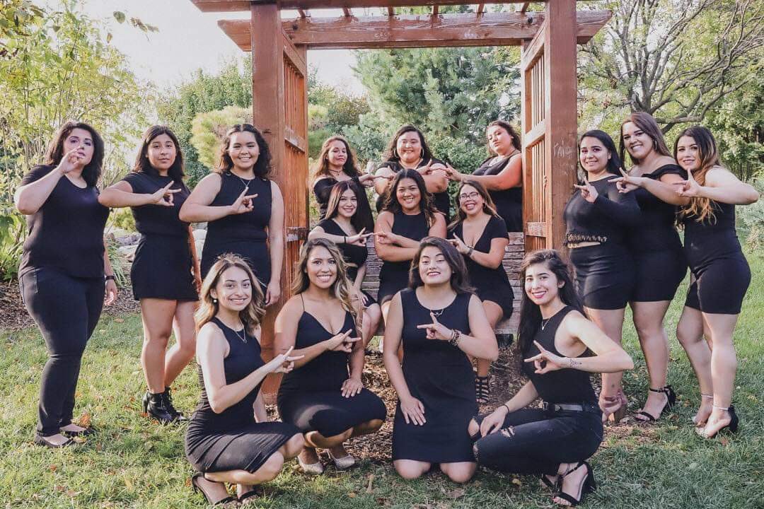 UNO Gammas tweet media