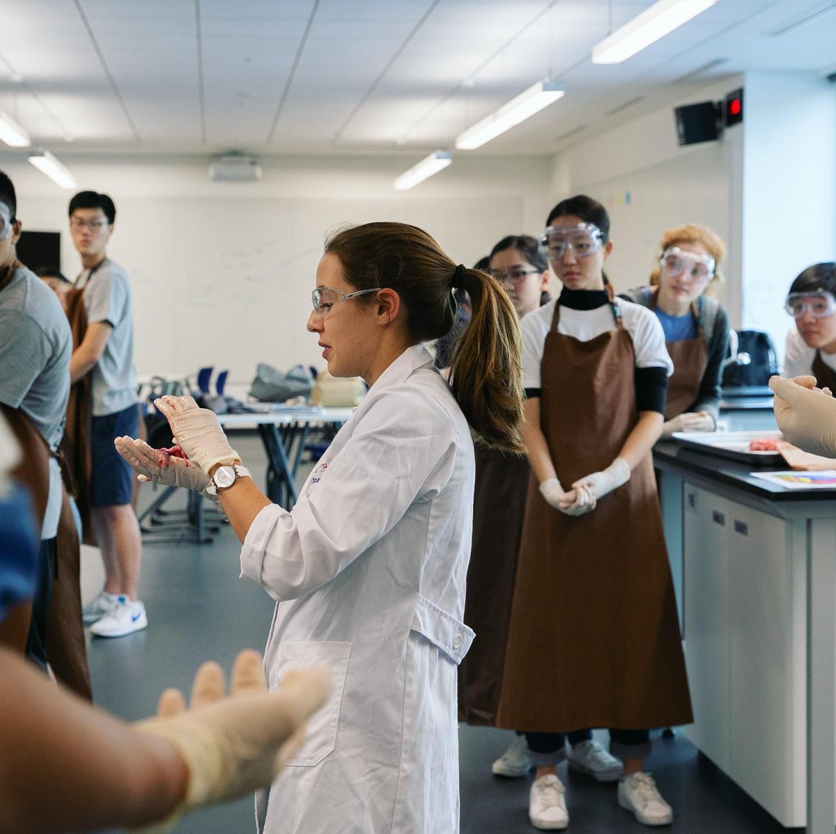SFS1912's tweet photo. Fantastic learning yesterday in #seoulforeignhighschool with a  collaborative approach. IBDP Psychology and IBDP Sports Exercise &amp; Health Science students teamed up to investigate the structure of the brain through a hands-on dissection. #sfslearns #SFS1912 https://t.co/c4RGEKPBhT