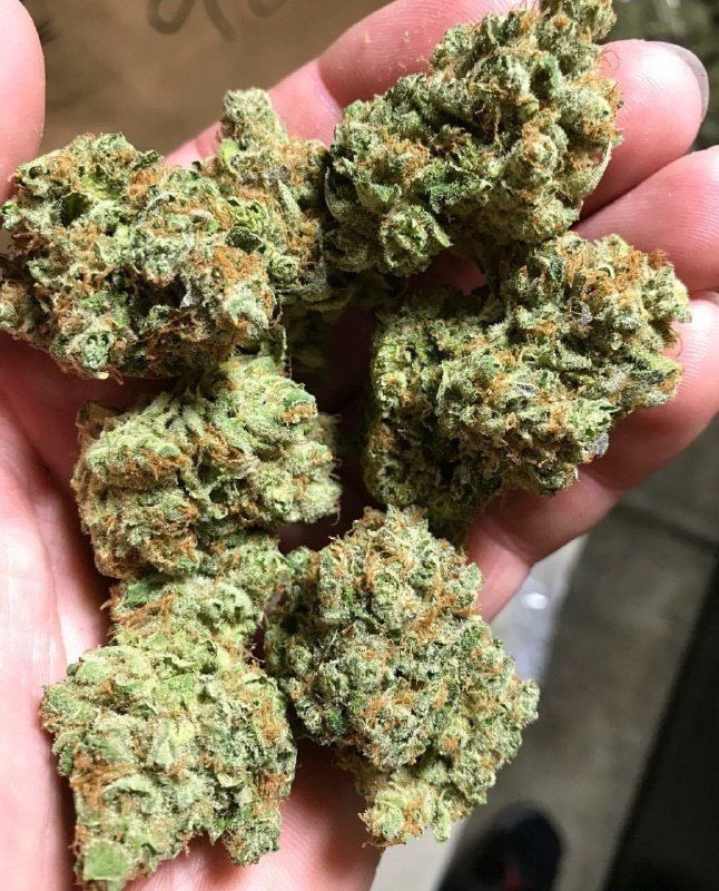 trader_cannabis's tweet photo. https://t.co/Fj0fVBxUVU https://t.co/i4Hmqd4Wnb