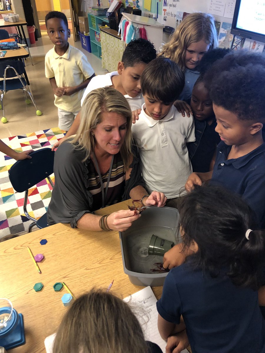 CassyDiaz's tweet photo. I had a GREAT time hanging w/ #FLYE 3rd graders this afternoon! They’re studying heredity & diversity-observing crayfish! One of their crayfish is going to be a mom in 4 to 6 was, & the kiddos are buzzing with excitement! #handsonlearning #amstiworks #BaldwinProud #FoleyProud https://t.co/xDkgh3yV52
