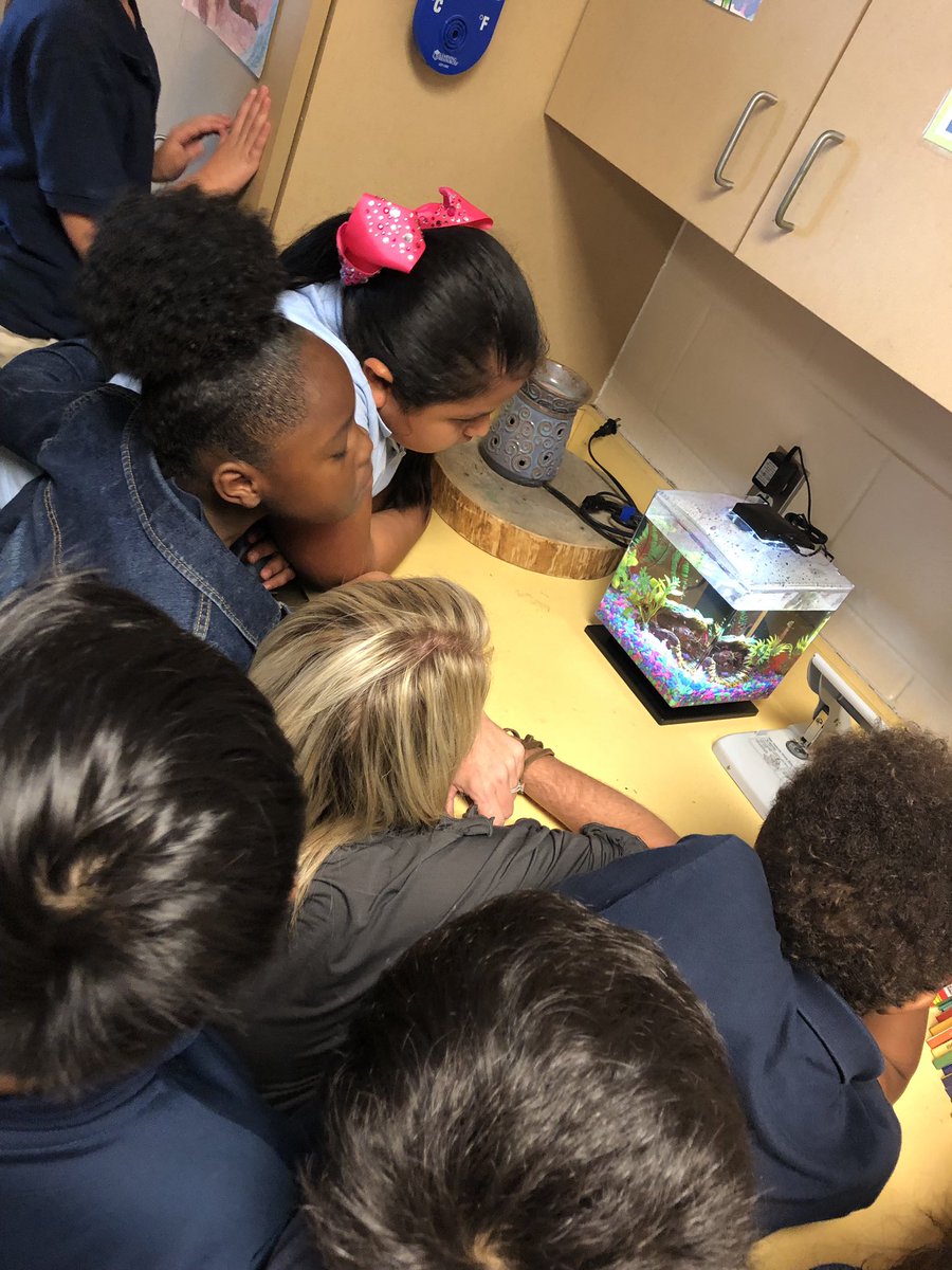 CassyDiaz's tweet photo. I had a GREAT time hanging w/ #FLYE 3rd graders this afternoon! They’re studying heredity & diversity-observing crayfish! One of their crayfish is going to be a mom in 4 to 6 was, & the kiddos are buzzing with excitement! #handsonlearning #amstiworks #BaldwinProud #FoleyProud https://t.co/xDkgh3yV52