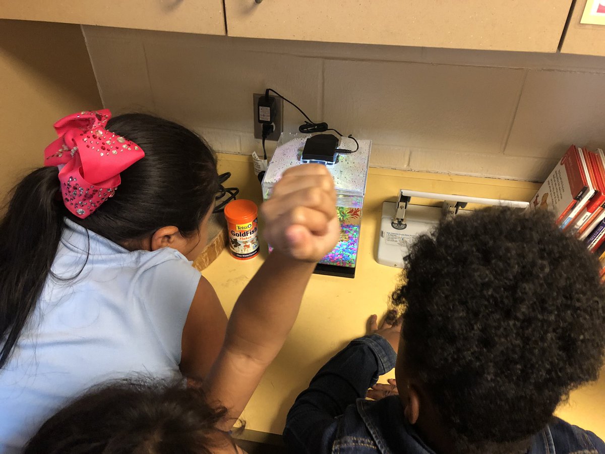 CassyDiaz's tweet photo. I had a GREAT time hanging w/ #FLYE 3rd graders this afternoon! They’re studying heredity & diversity-observing crayfish! One of their crayfish is going to be a mom in 4 to 6 was, & the kiddos are buzzing with excitement! #handsonlearning #amstiworks #BaldwinProud #FoleyProud https://t.co/xDkgh3yV52