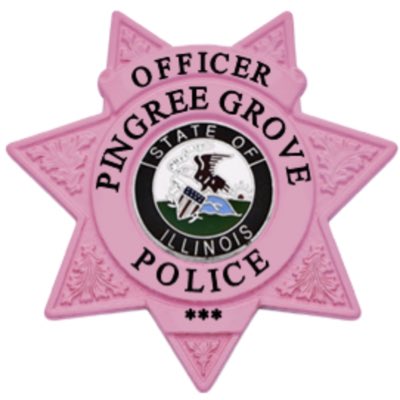 PingreeGrovePD's tweet photo. #NewProfilePic https://t.co/4uQ7FbYNxn