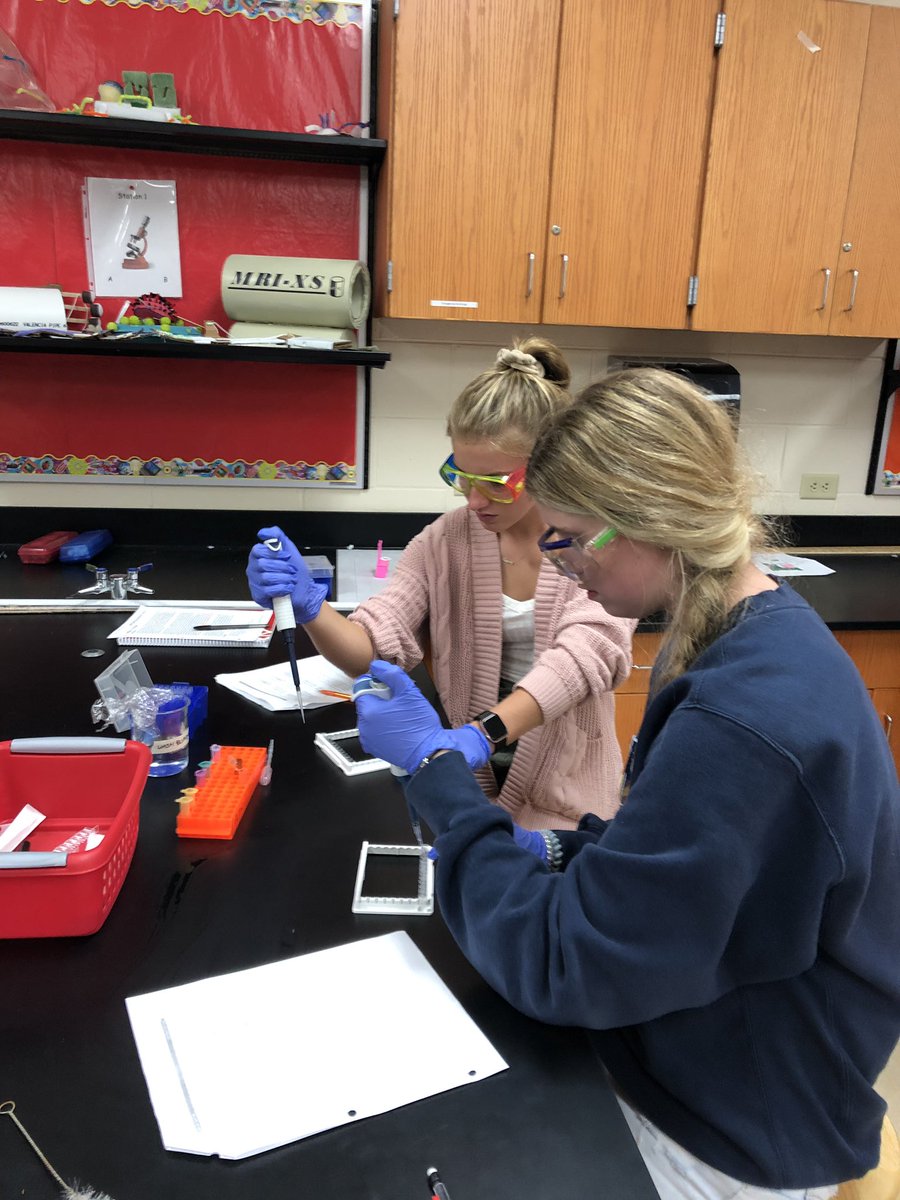 jochl's tweet photo. Medical Interventions students performing an ELISA to determine which patients are infected. @PLTWorg @wilmotuhs #InspiredbyWilmot https://t.co/G69tADXIvt