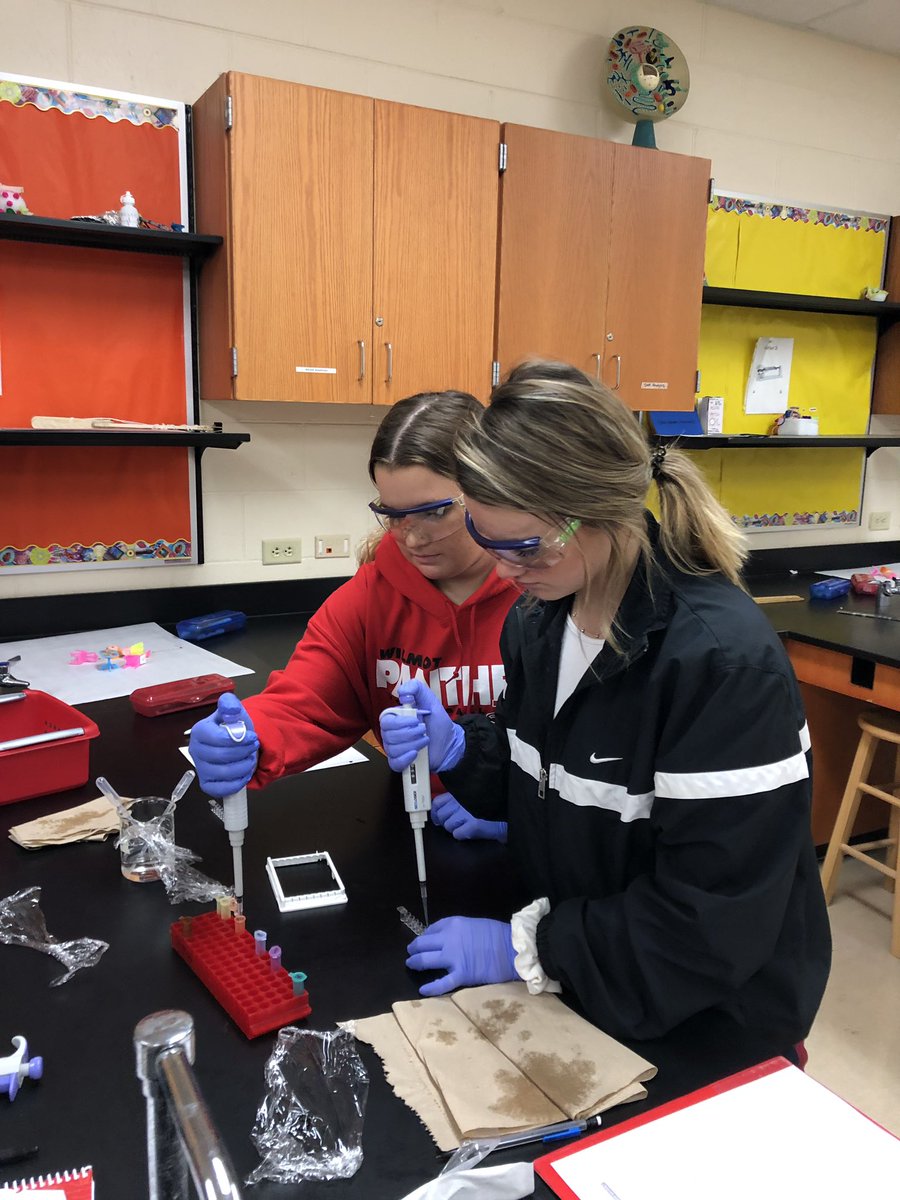 jochl's tweet photo. Medical Interventions students performing an ELISA to determine which patients are infected. @PLTWorg @wilmotuhs #InspiredbyWilmot https://t.co/G69tADXIvt