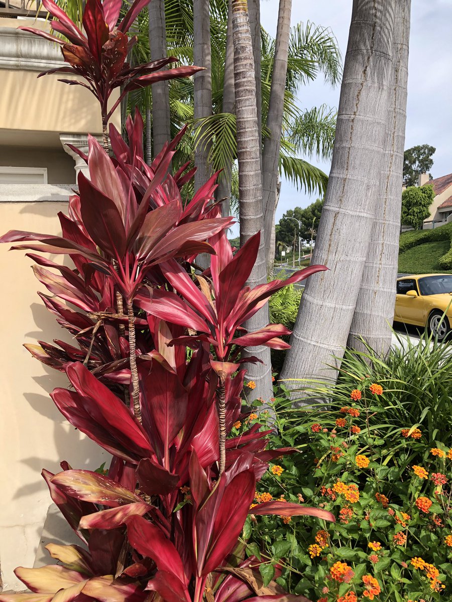 YvetteCraddock's tweet photo. As previously announced, Yvette Craddock Designs now services the #Southern California region.
Here are some #nature #images from the Newport Beach area to inspire your creativity. #interiordesign #stagingdesign https://t.co/8OBvbklX0T