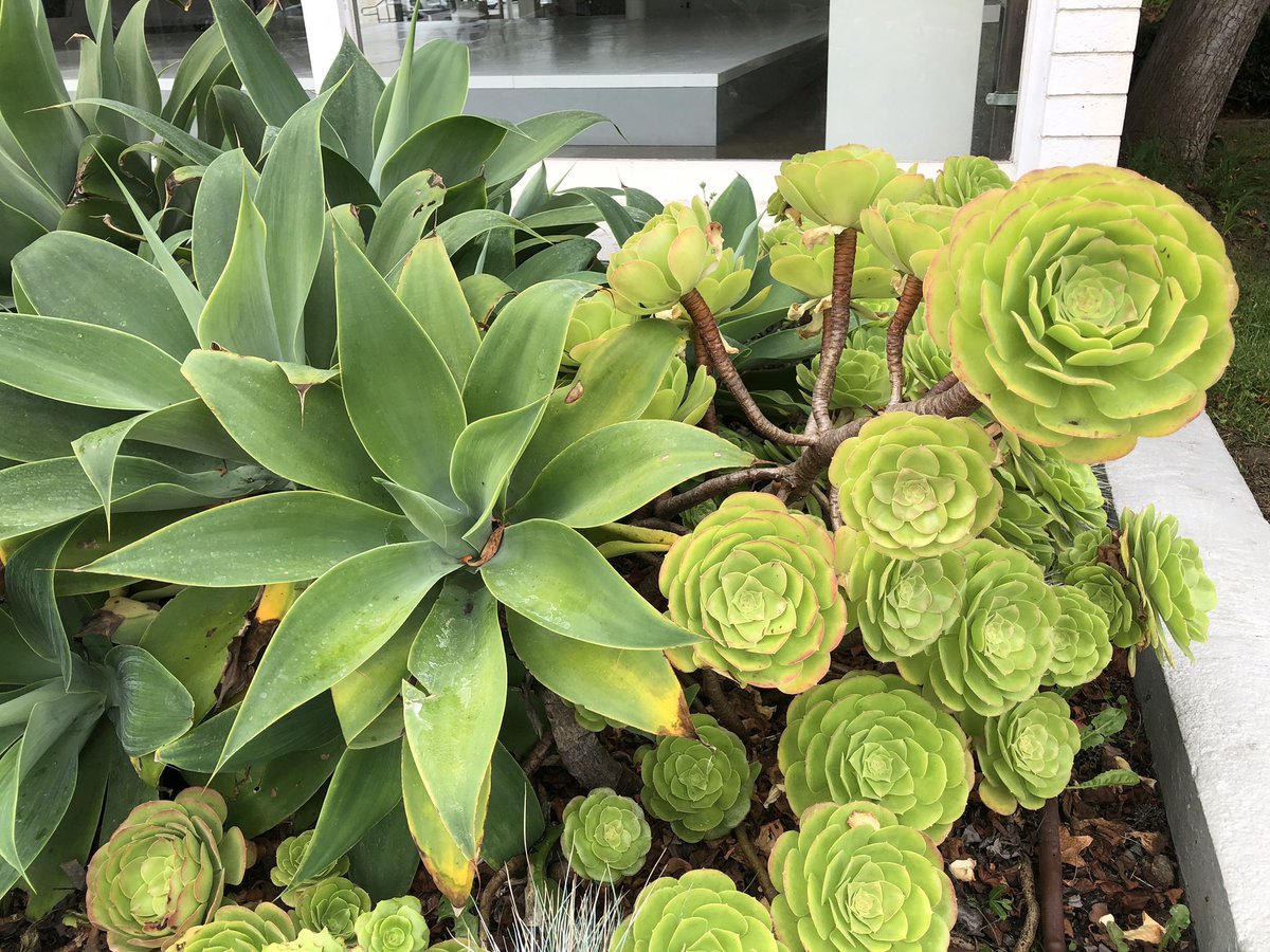 YvetteCraddock's tweet photo. As previously announced, Yvette Craddock Designs now services the #Southern California region.
Here are some #nature #images from the Newport Beach area to inspire your creativity. #interiordesign #stagingdesign https://t.co/8OBvbklX0T