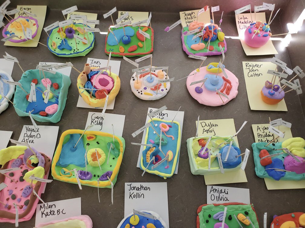 MsSherrett's tweet image. Amazing what kids can do when you give them the opportunity and space to be creative. I love how different they all look. Great project Ms. Villanueva! @Room39UMS @goTeamUMS @usdlearns