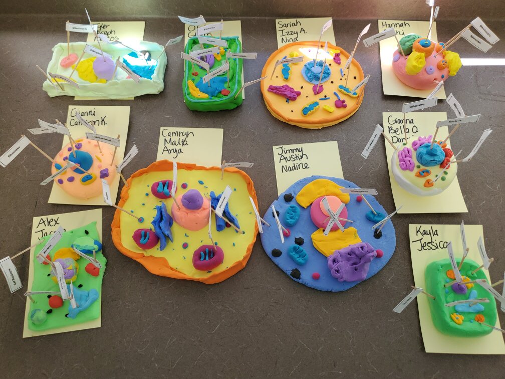 Leslie Sherrett (@mssherrett) on Twitter photo Amazing what kids can do when you give them the opportunity and space to be creative. I love how different they all look. Great project Ms. Villanueva! <a href="/Room39UMS/">Lizzette V</a> <a href="/goTeamUMS/">Union Middle School</a> <a href="/usdlearns/">USDLearns</a> Amazing what kids can do when you give them the opportunity and space to be creative. I love how different they all look. Great project Ms. Villanueva! <a href="/Room39UMS/">Lizzette V</a> <a href="/goTeamUMS/">Union Middle School</a> <a href="/usdlearns/">USDLearns</a>