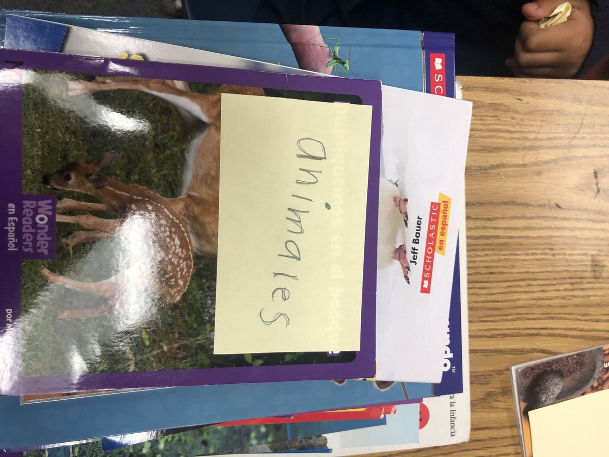 mrs_zubiate's tweet photo. Sorting Non-Fiction by theme! #centralreads #centralisawesome #centralcfb https://t.co/dT6zFUXqLp