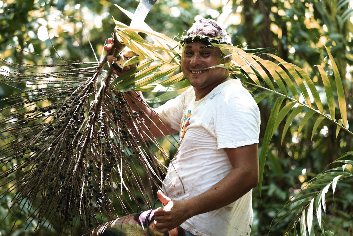 Sambazon's tweet image. It’s Fair Trade Month! Back in 2006, we received our Fair Trade Certification. Sambazon strives to make the world and our brand a better place! #FairTradeMonth 💜🌎