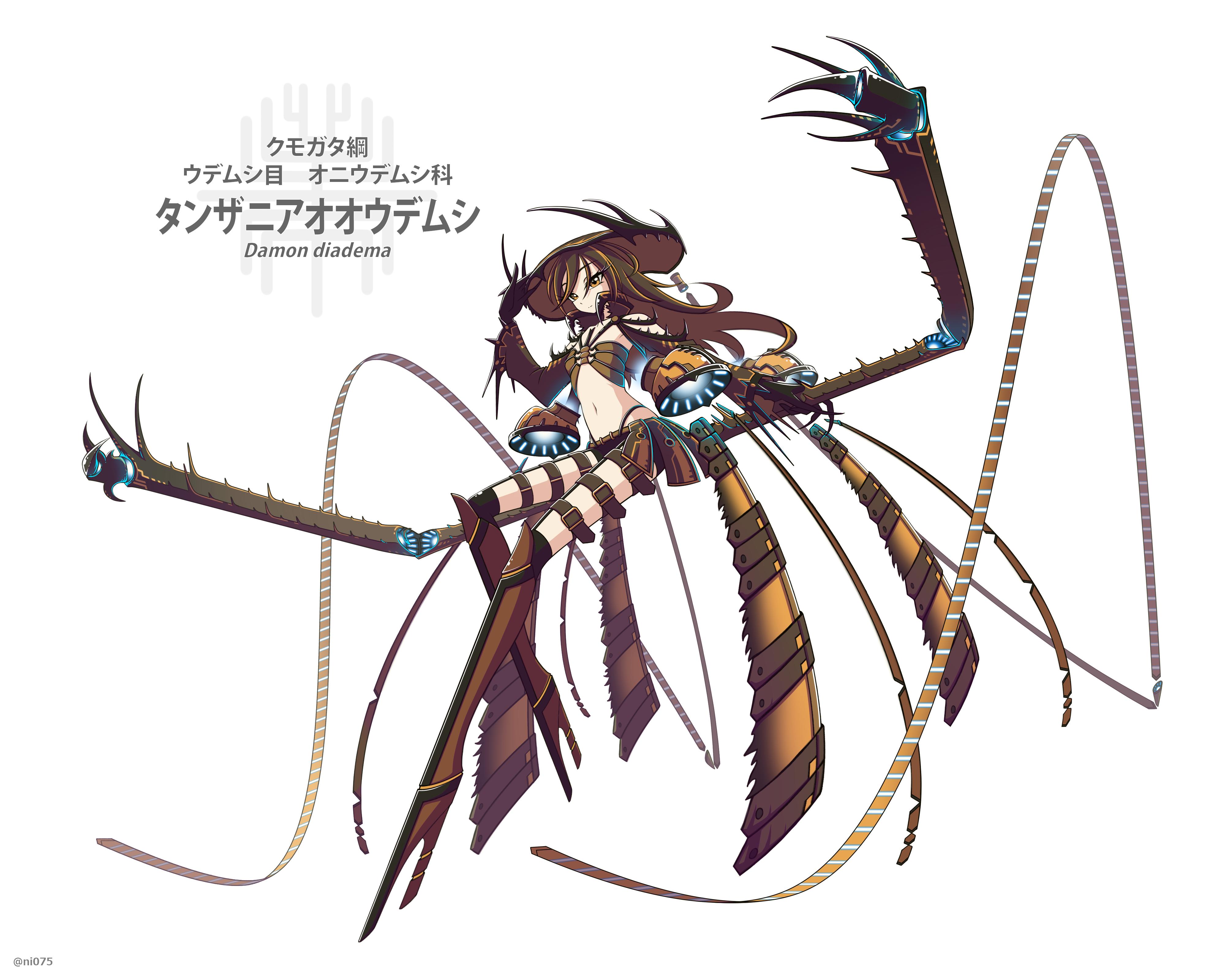 Jun Some Other Arachnid Arthrogirls From 17 There Re Still A Lot Need To Do In Order To Present The Diversity Of Arachnid Taxa Shamefully I Still Lack Any Mites Beyond