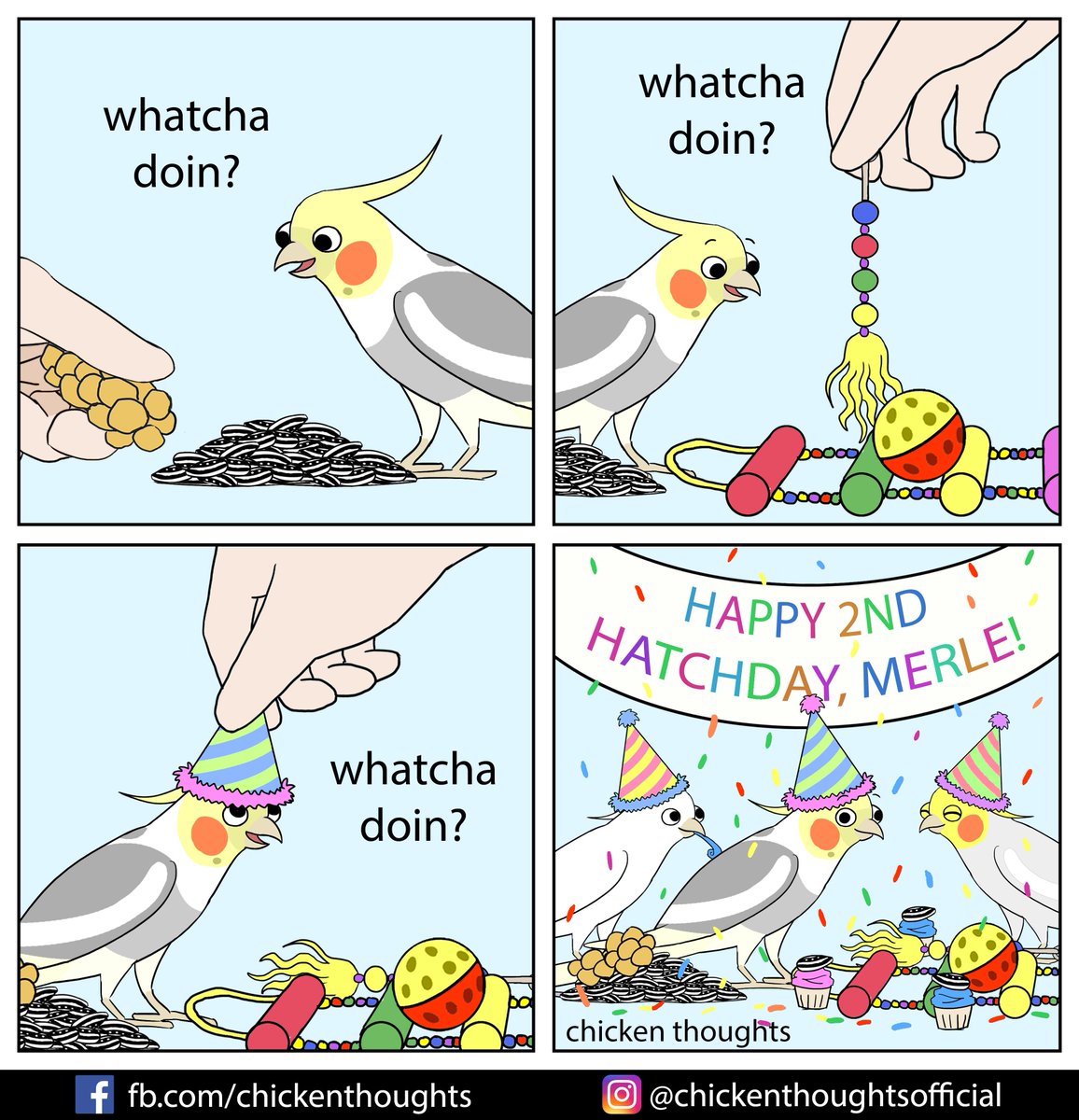 Happy Hatchday to our fren Merle the Talking 'Tiel who brings us smiles every day! We love you! https://t.co/Wr5BZev6rV 