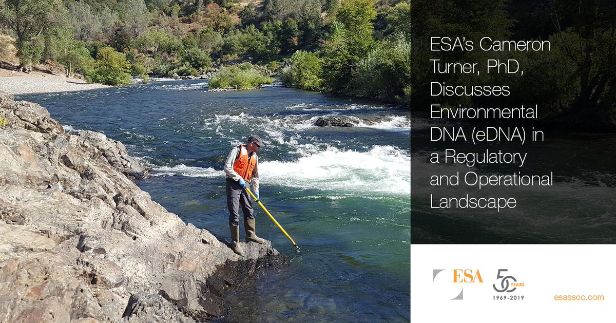 esassoc's tweet photo. eDNA monitoring can be a cost-effective, accurate, and timely way to detect the presence of animals and plants. Read Dr. Turner’s overview of our eDNA workflow, and how it enhances our ability to make critical determinations here: https://t.co/rOgWVIVaJd https://t.co/Q3T2NhSW3T