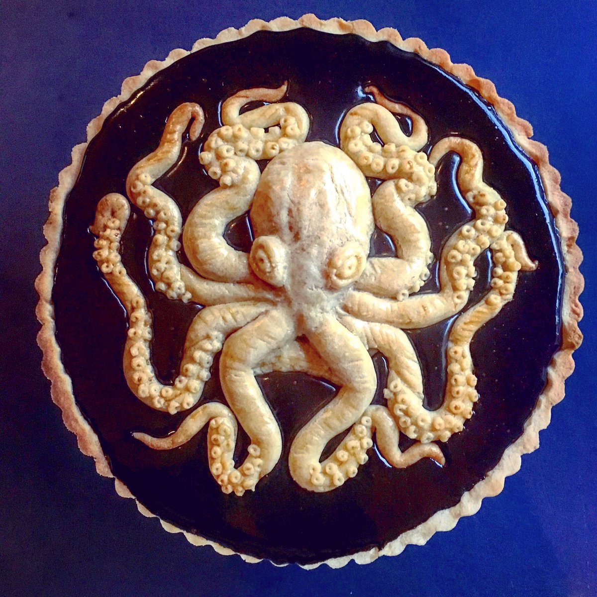 Twoucan Octonation The Largest Octopus Fan Club Theoctonation Twoucan Octonation The Largest Octopus Fan Club Theoctonation