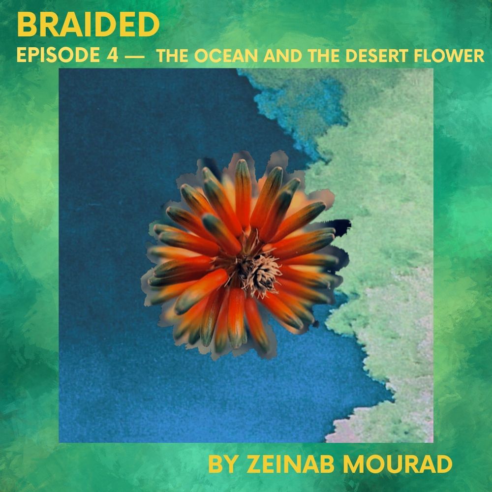 braidedpod's tweet photo. “I’m as Aussie as Vegimite, you better get that right.”
 
This week Zeinab Mourad – with production fr @bethanyaq –  finds strength &amp; hope in an environment that feels hostile. 

This ep: how can we find home even if we're made to feel we don't belong? https://t.co/I45efErOxR https://t.co/H4rt6uoJxp