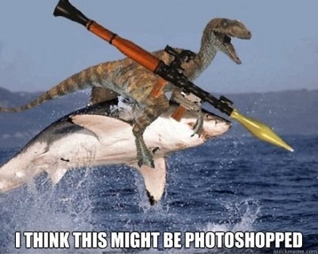 Likebuzz_de tweet picture