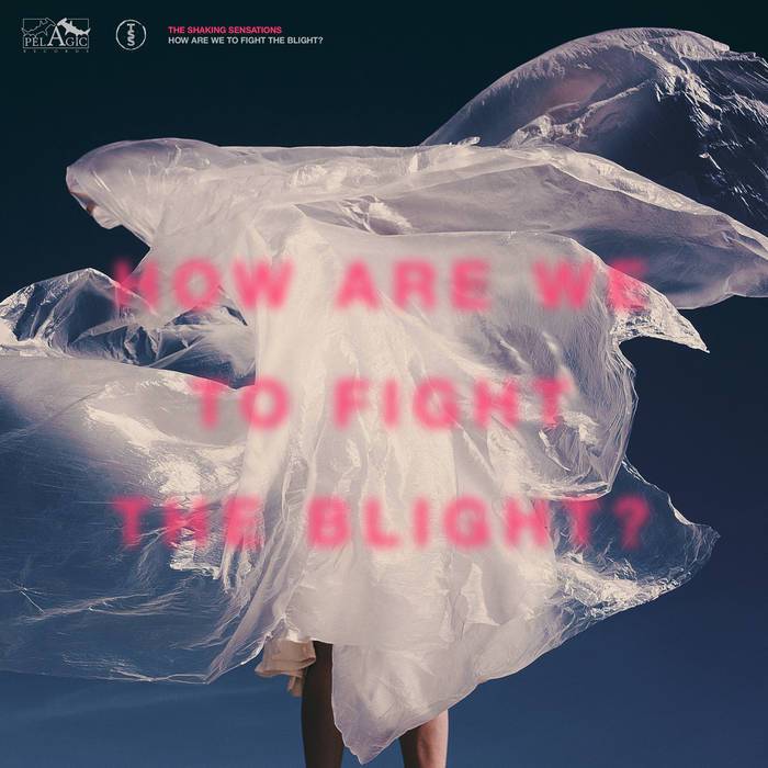 acloserlisten's tweet photo. The Shaking Sensations ~ How Are We to Fight the Blight? https://t.co/mHvdFPS8af https://t.co/KfbCfwkaDn