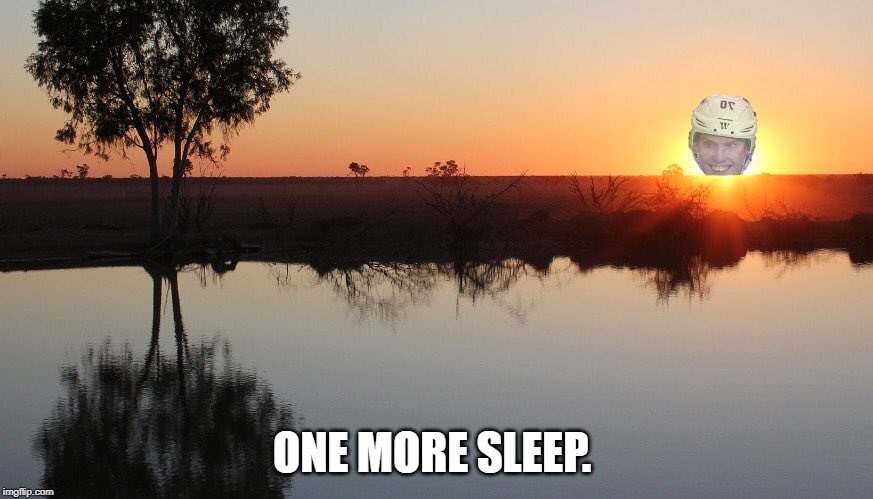 CamJanssen25's tweet image. 🤘#stlblues