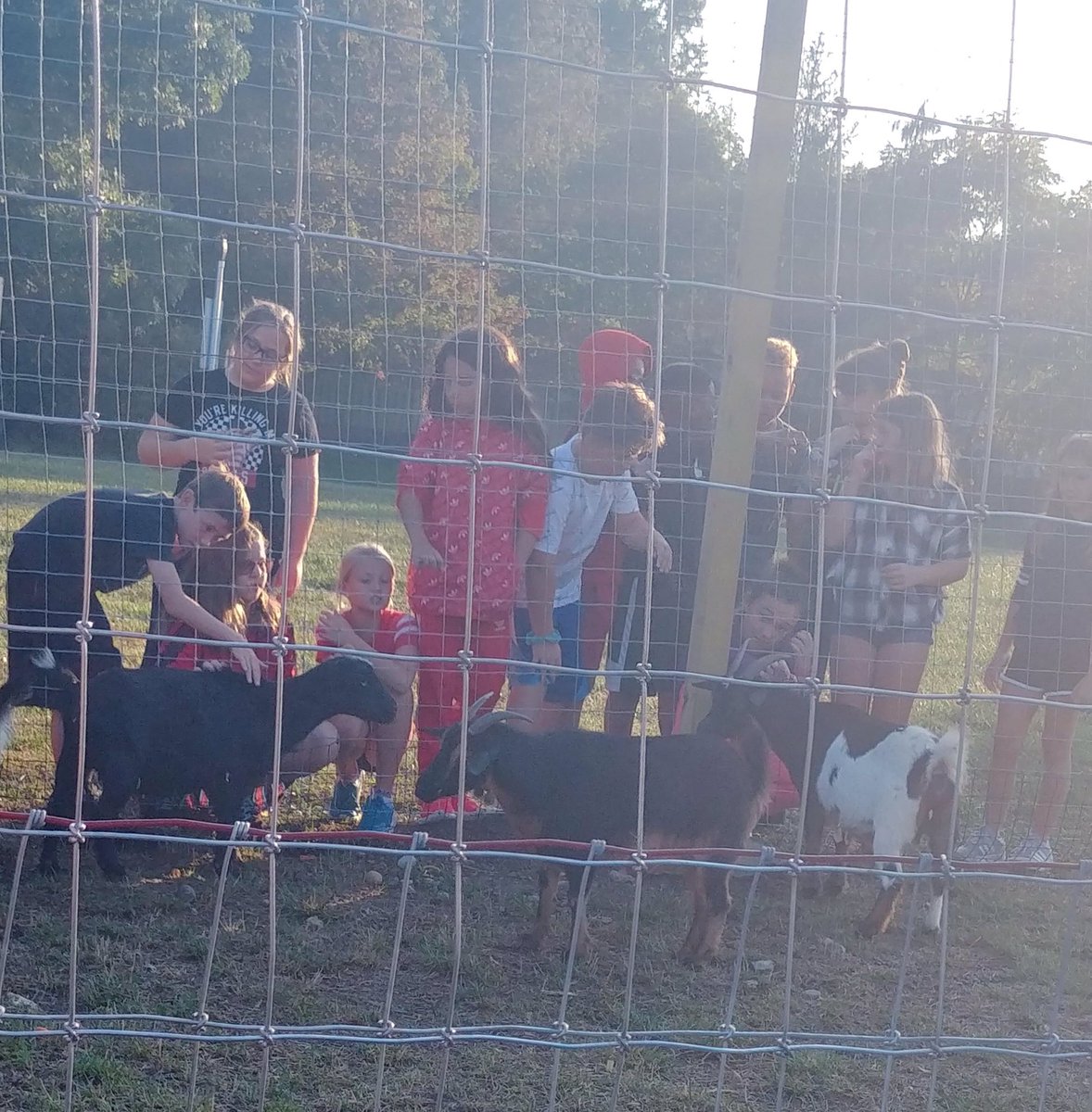 BeckyFloetker's tweet photo. Getting to know our newest neighbors and asking some great questions! @RSIgoldenflock @KLothamer @RSIHawks https://t.co/oBi4CqalGz