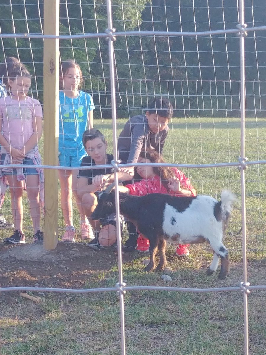 BeckyFloetker's tweet photo. Getting to know our newest neighbors and asking some great questions! @RSIgoldenflock @KLothamer @RSIHawks https://t.co/oBi4CqalGz