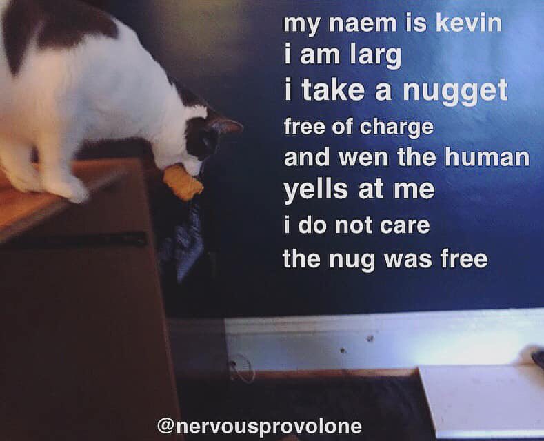 SoupSerpent's tweet photo. #kevin #nugget https://t.co/nVyyUCM5pY