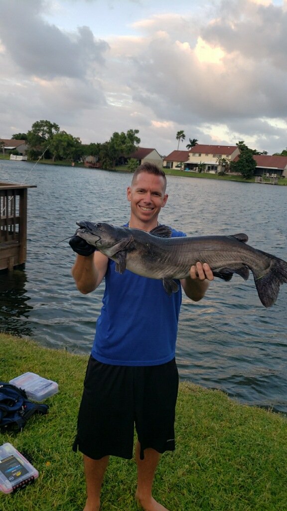 Financial Service Agent tweet media