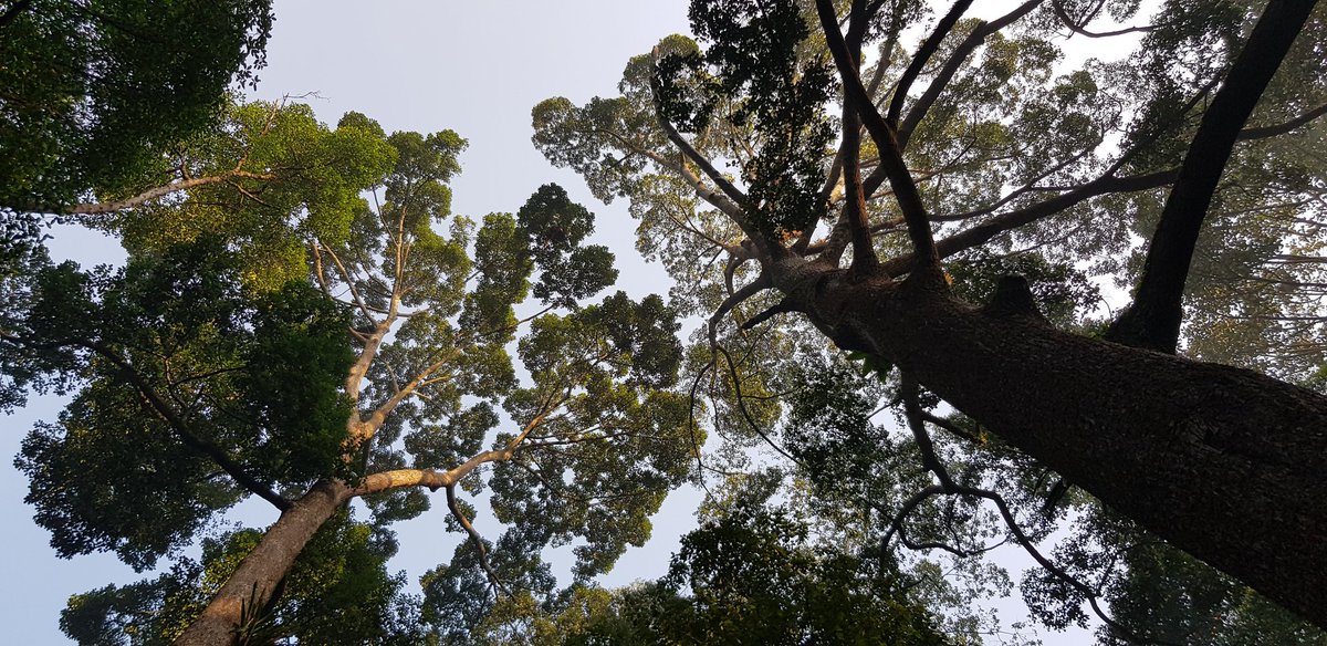 Roslan Md Taha tweet media